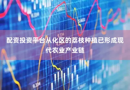 配资投资平台从化区的荔枝种植已形成现代农业产业链