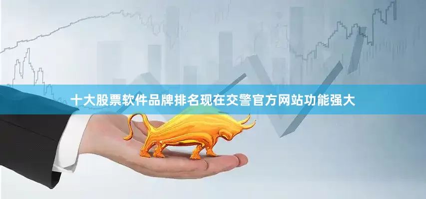 十大股票软件品牌排名现在交警官方网站功能强大