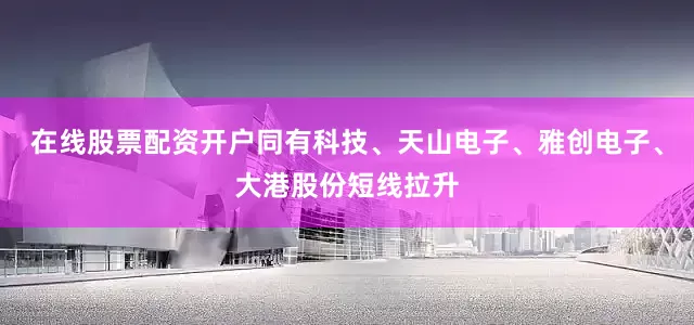 在线股票配资开户同有科技、天山电子、雅创电子、大港股份短线拉升
