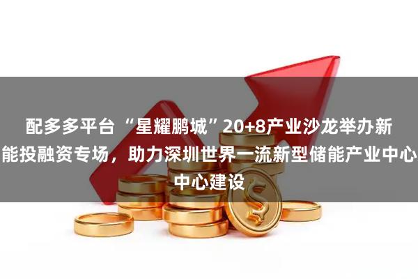 配多多平台 “星耀鹏城”20+8产业沙龙举办新型储能投融资专场，助力深圳世界一流新型储能产业中心建设