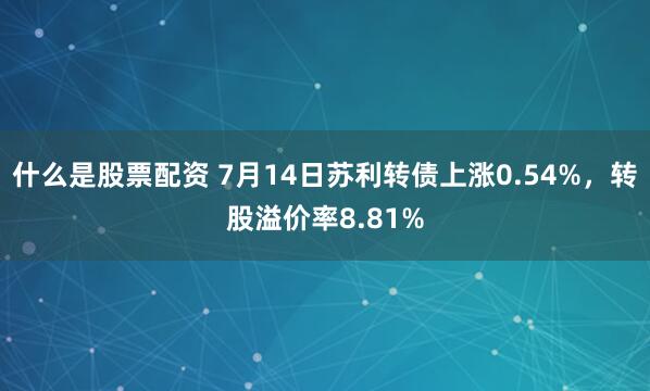 什么是股票配资 7月14日苏利转债上涨0.54%，转股溢价率8.81%